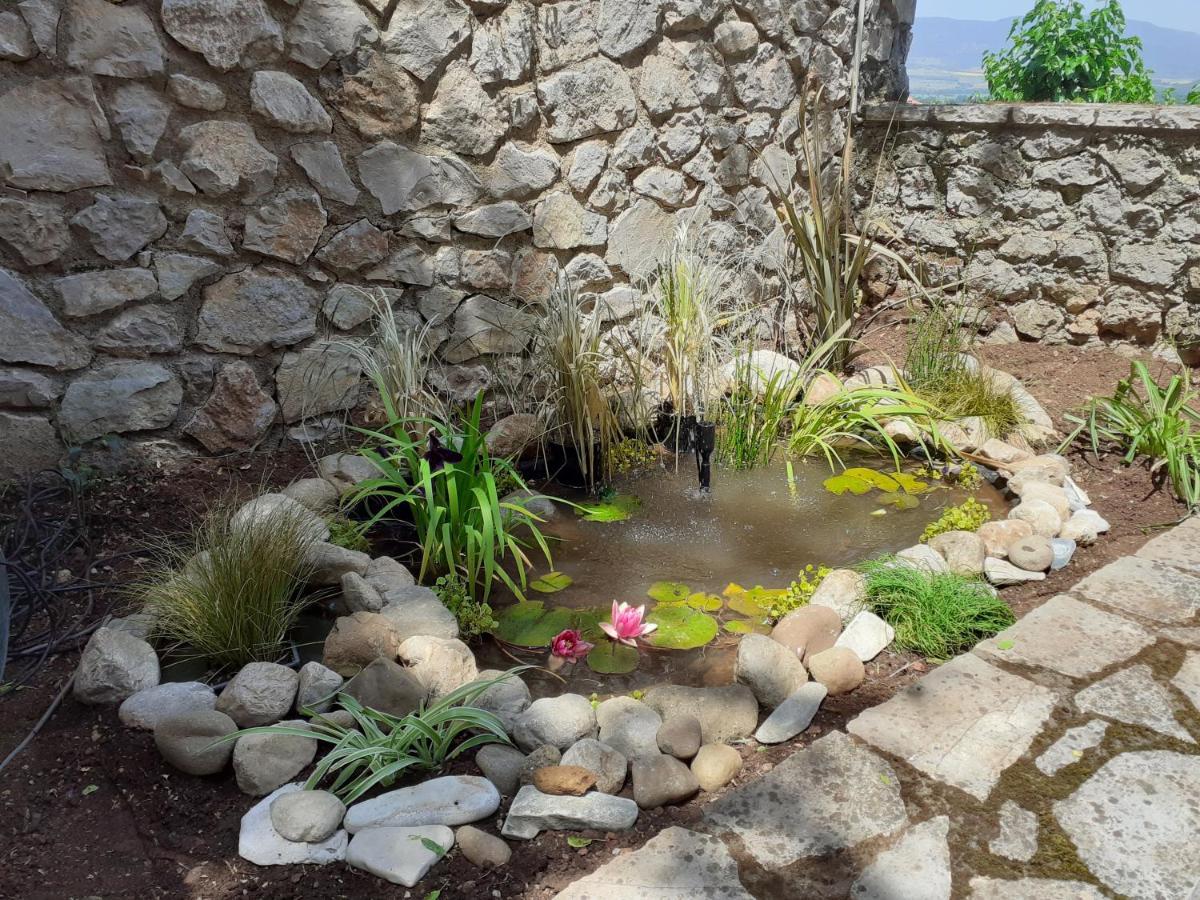 Agoriani Art Suite - 4 Seasons' Natural Living Lílaia Buitenkant foto
